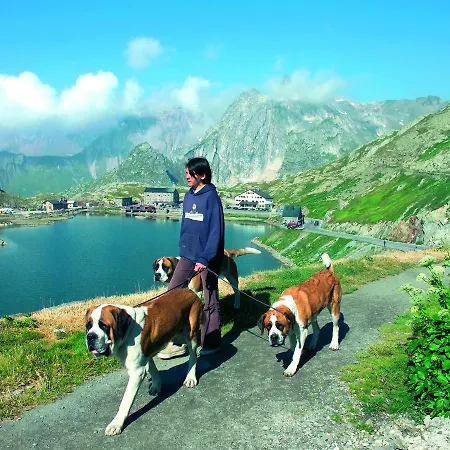 Chalet Celine 샬레 레 콜론